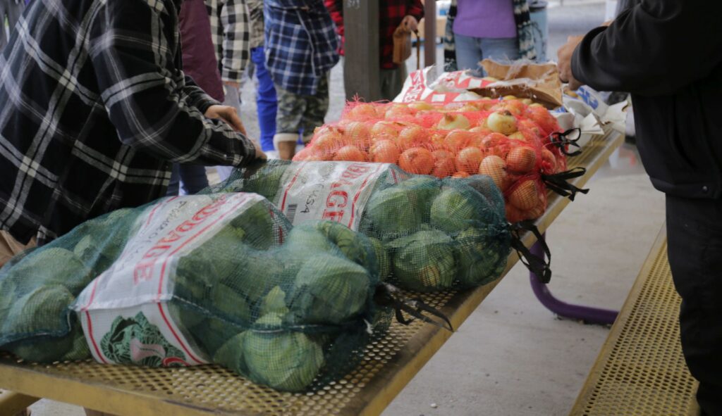 People examining vegetables stored in sacks