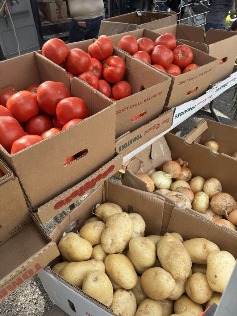 Tomatoes and potatoes stored in carboard boxes for display
