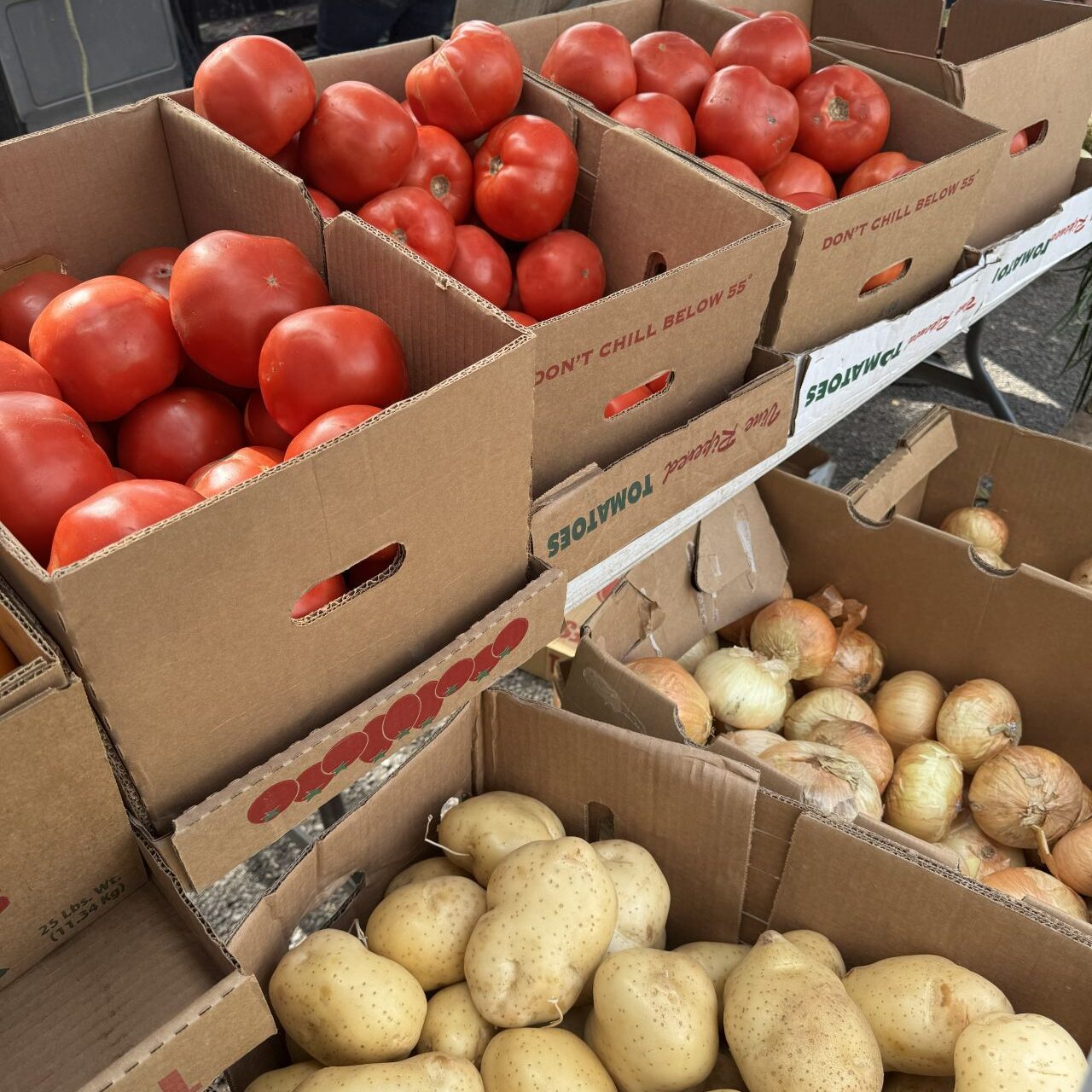 Tomatoes and potatoes stored in carboard boxes for display 