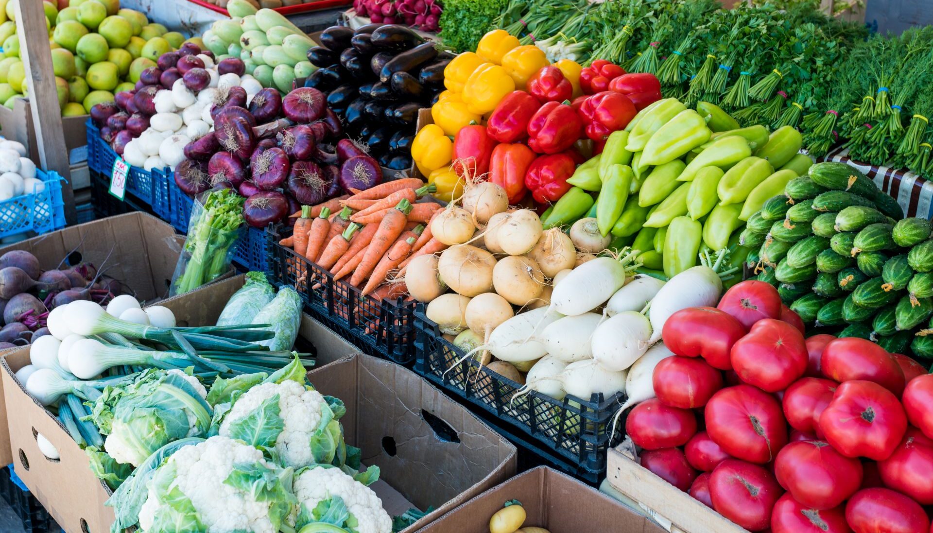 Colorful vegetables on display