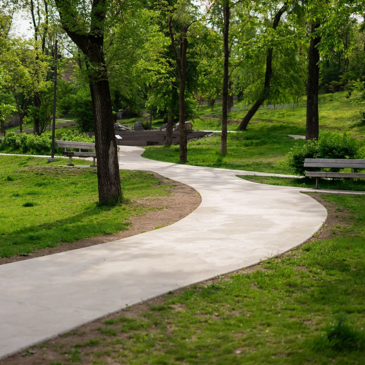Scenic park-like setting with paved trail and park benches in wooded area 