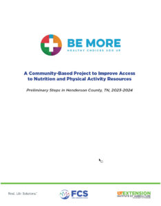 Initial County Assessment Report - Cover Screenshot