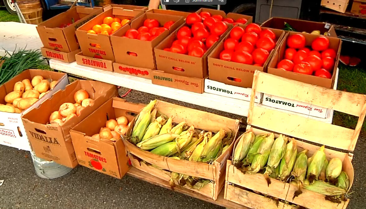 Video Snapshot - Sneedville Farmers Market