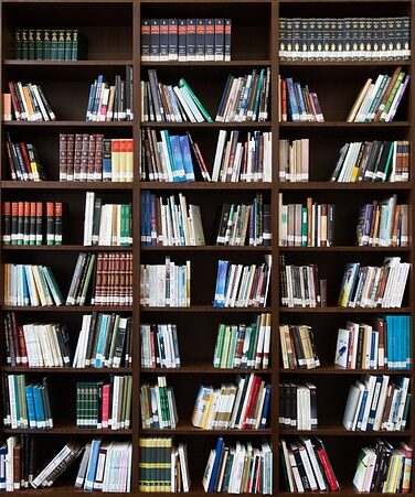 Numerous books in several bookcases 