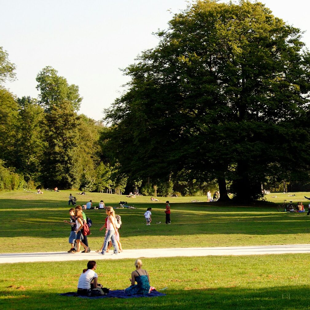 People playing, sitting and riding bicycles in a park setting