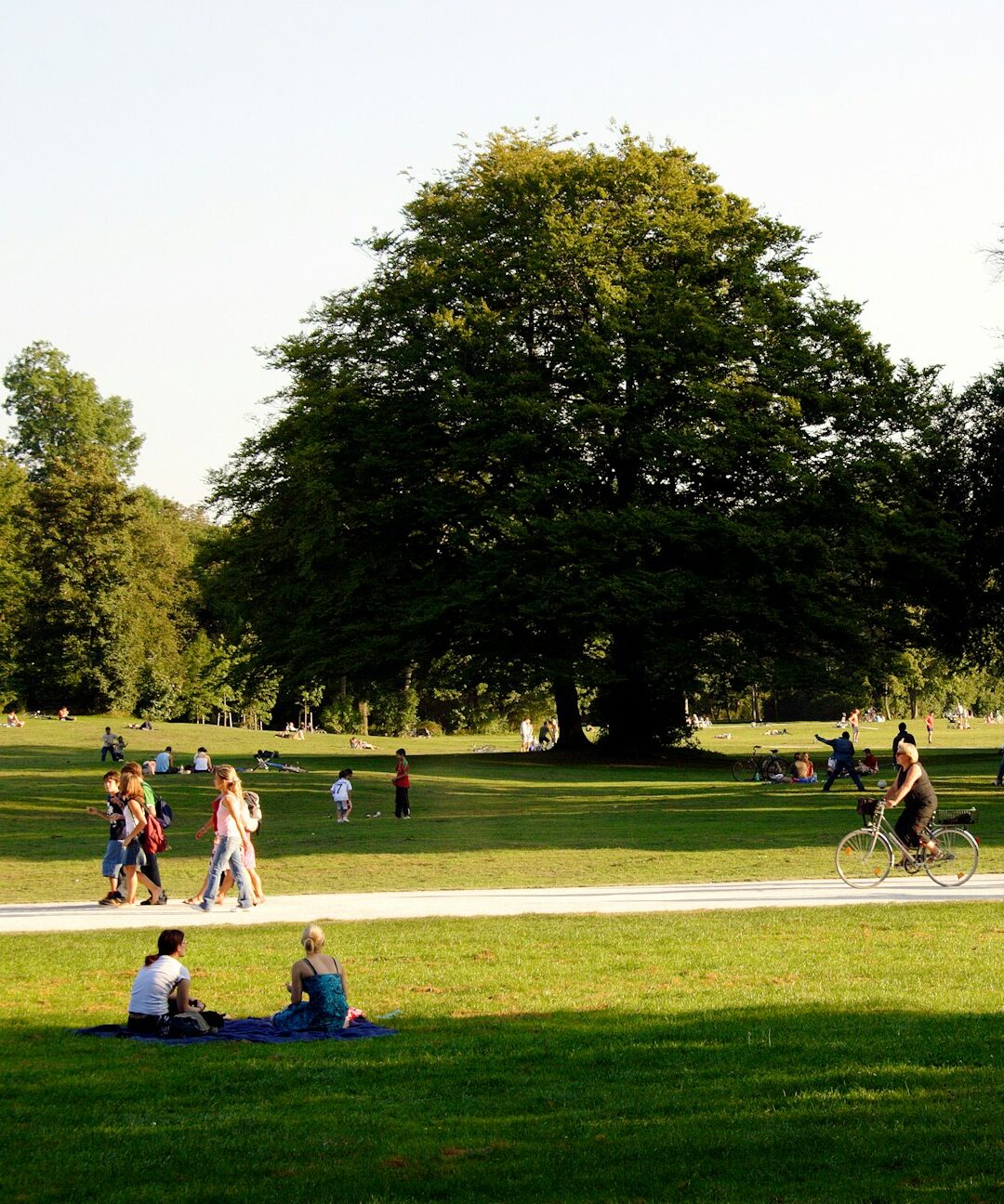 People playing, sitting and riding bicycles in a park setting 